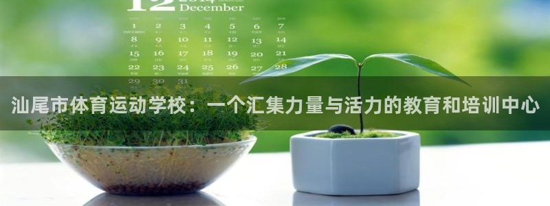 千亿国际官网下载招商：汕尾市体育运动学校：一个汇集力