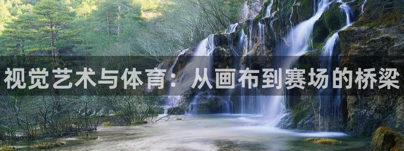 千亿国际官网下载招商电话是多少：视觉艺术与体育：从画
