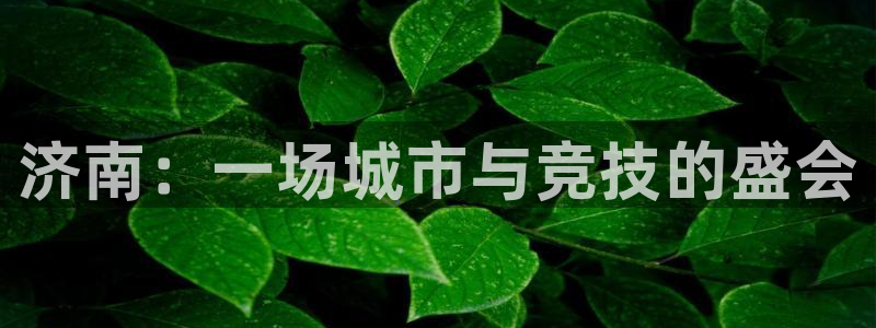 千亿国际官方正版app代理：济南：一场城市与竞技的盛