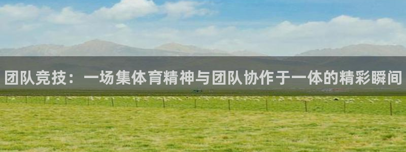 千亿国际官网下载软件：团队竞技：一场集体育精神与团队