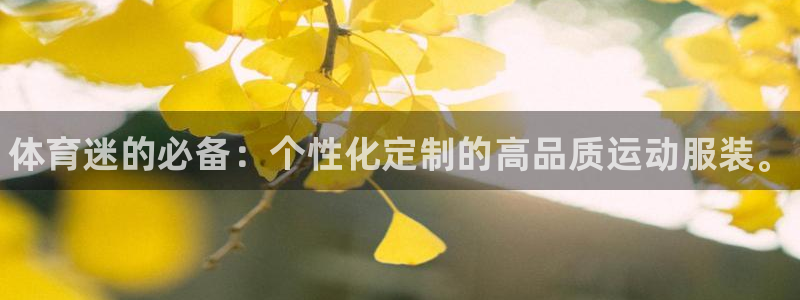 千亿国际官方正版app娱乐：体育迷的必备：个性化定制的高品质
