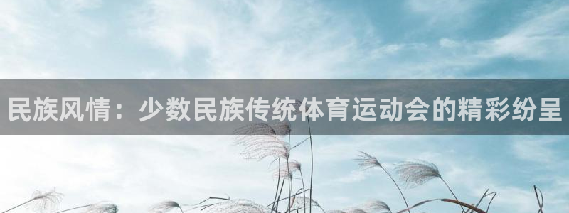 千亿国际官方集团官网：民族风情：少数民族传统体育运动