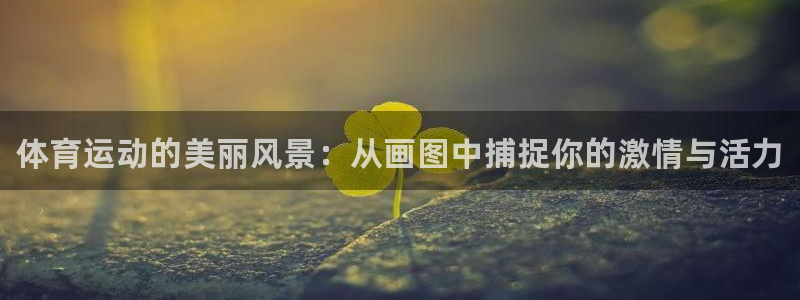 千亿国际官网下载是干嘛的公司：体育运动的美丽风景：从画图中捕