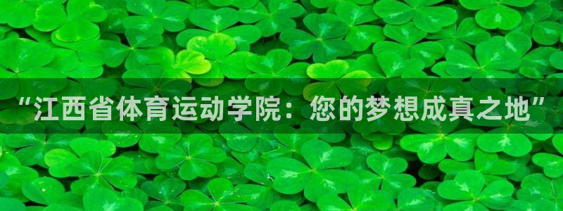 千亿国际官方正版app新能源：“江西省体育运动学院：