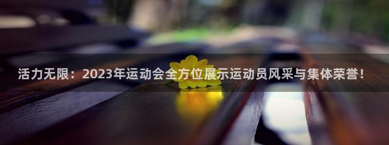 千亿国际官网下载招商电话地址查询：活力无限：2023年运动会