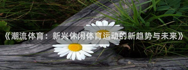 千亿国际官方正版app神州：《潮流体育：新兴休闲体育运动的新