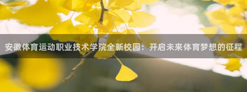 千亿国际官网下载招商电话号码查询