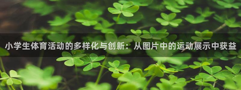 千亿国际官网下载平台注册要钱吗：小学生体育活动的多样