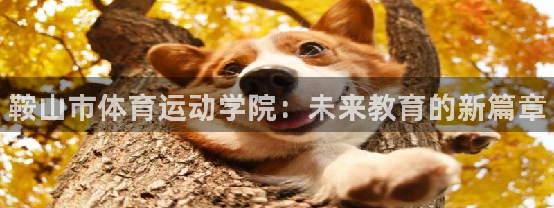 千亿国际官方正版app集团logo：鞍山市体育运动学