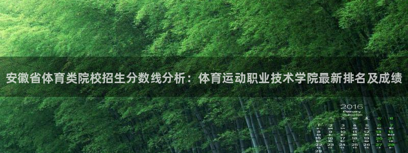 千亿国际官方正版app集团logo：安徽省体育类院校招生分数