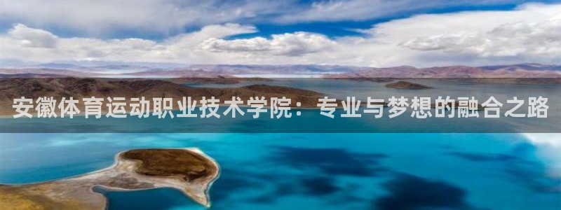 千亿国际官方正版app娱乐网站：安徽体育运动职业技术