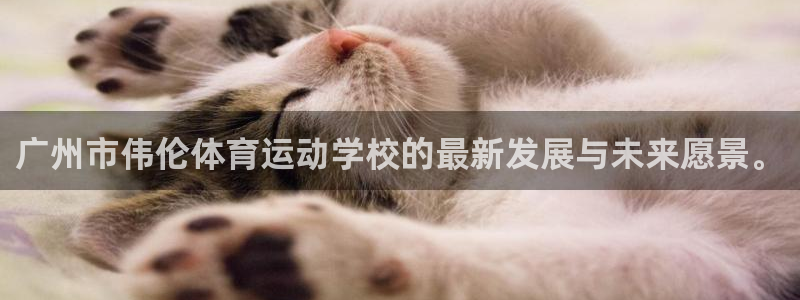千亿国际官网下载：广州市伟伦体育运动学校的最新发展与未来愿景