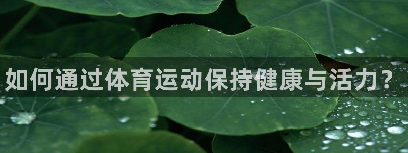 千亿国际官网下载招商：如何通过体育运动保持健康与活力？