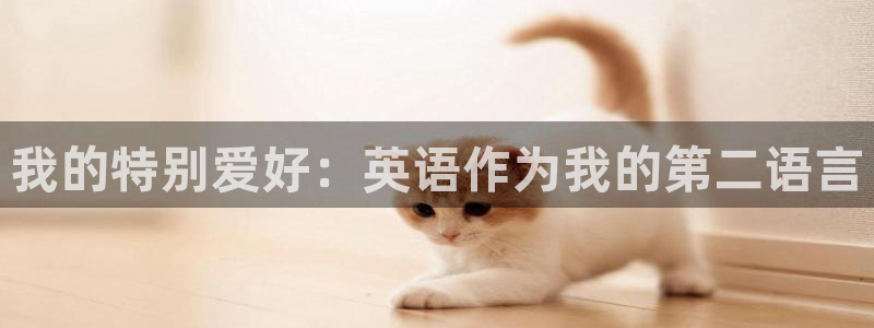 千亿国际官网下载平台注册流程图：我的特别爱好：英语作为我的第