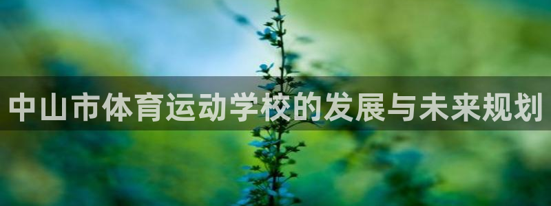 千亿国际官网下载平台注册要钱吗是真的吗：中山市体育运
