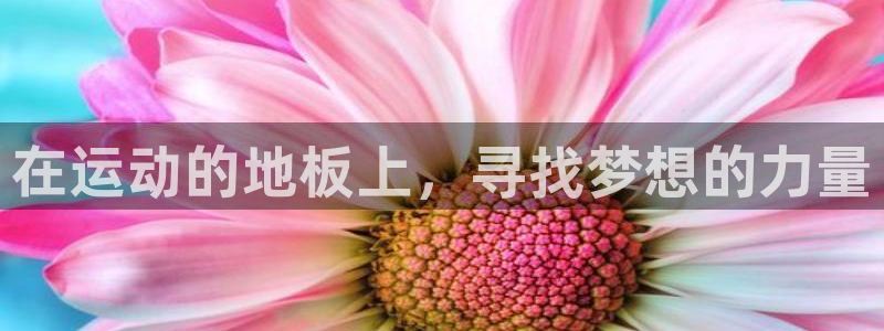 千亿国际官方正版app娱乐代理怎么样：在运动的地板上，寻找梦