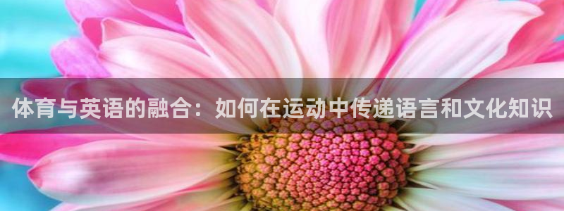 千亿国际官方正版app集团官网首页：体育与英语的融合：如何在