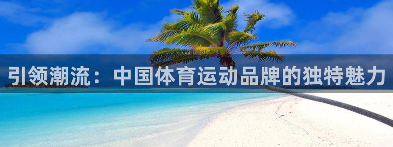 海南千亿国际官网下载：引领潮流：中国体育运动品牌的独特魅力