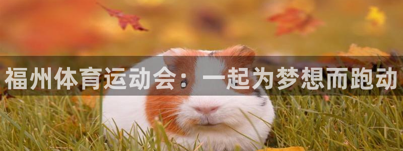 千亿国际官网下载平台注册流程图：福州体育运动会：一起