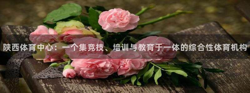 千亿国际官网下载招商电话号码是多少啊：陕西体育中心：一个集竞
