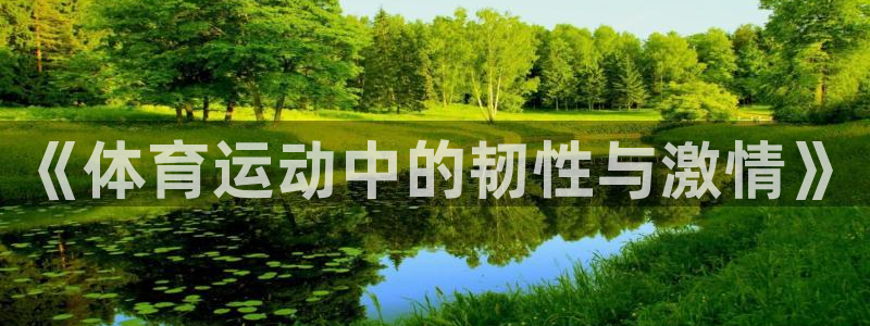 千亿国际官方正版app娱乐是那个系列的台子：《体育运动中的韧