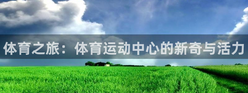 千亿国际官方正版app集团logo：体育之旅：体育运动中心的