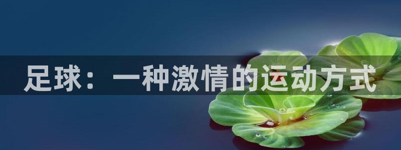 千亿国际官网下载招商电话号码是多少：足球：一种激情的运动方式