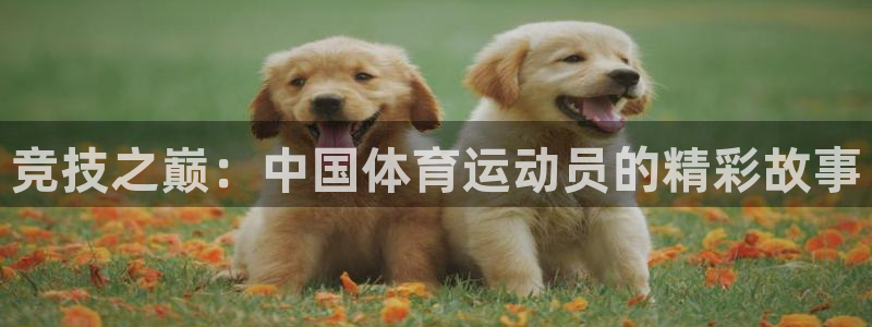 千亿国际官网下载平台注册要钱吗安全吗：竞技之巅：中国