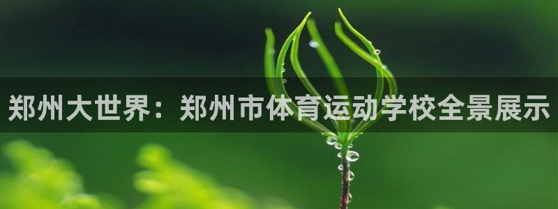 千亿国际官网下载联系电话：郑州大世界：郑州市体育运动学校全景
