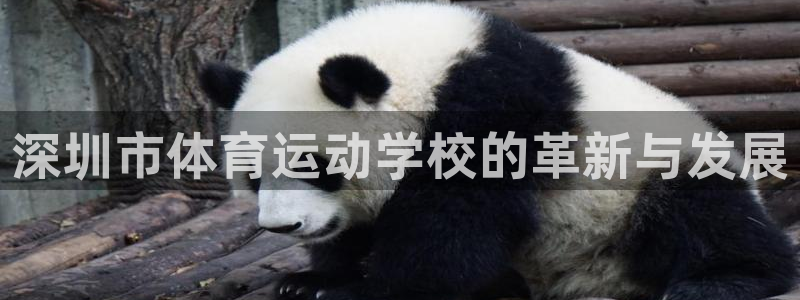 千亿国际官网下载开户：深圳市体育运动学校的革新与发展