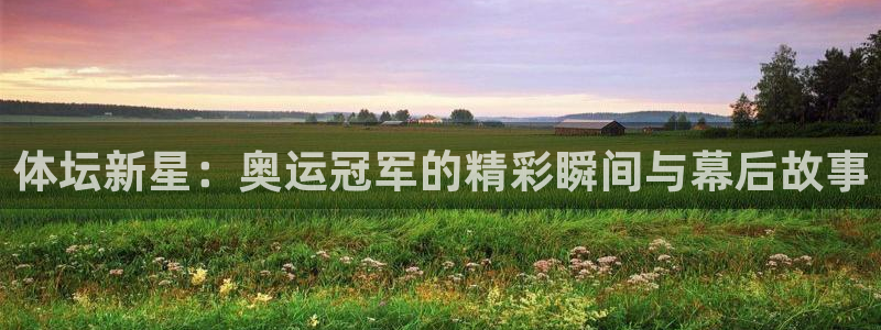 千亿国际官网下载平台注册流程视频：体坛新星：奥运冠军的精彩瞬