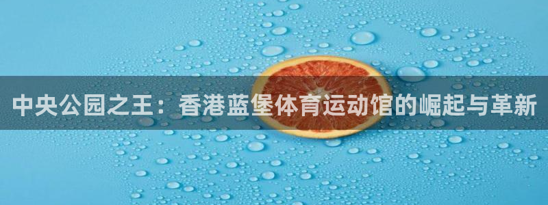 千亿国际官方正版app集团：中央公园之王：香港蓝堡体育运动馆