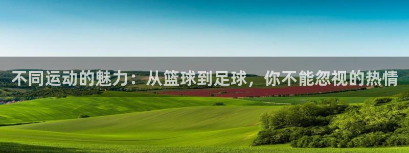 千亿国际官网下载招商电话地址：不同运动的魅力：从篮球