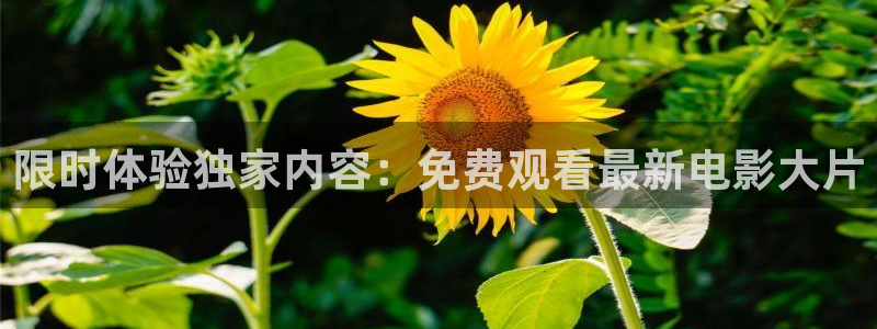 新球体育即时分：限时体验独家内容：免费观看最新电影大片
