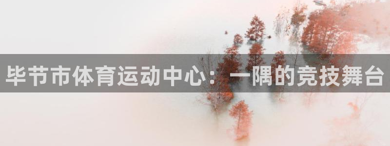 千亿棋牌怎么样赚钱：毕节市体育运动中