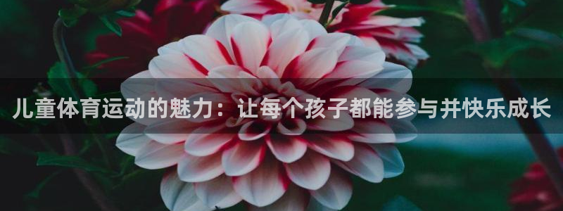 千亿游戏平台是真的吗：儿童体育运动的魅力：让每个孩子都能参与
