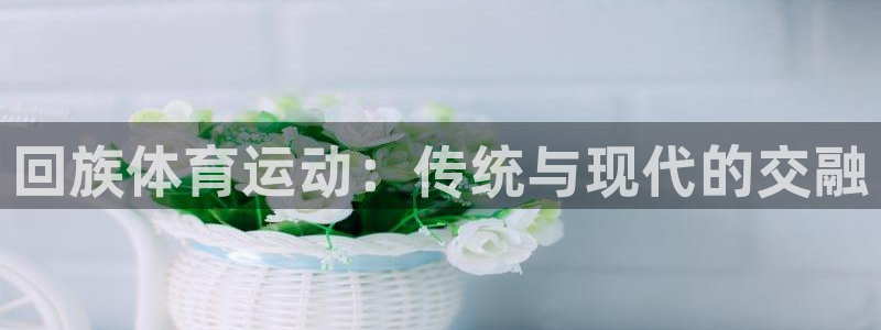  千亿游戏官网手机版：回族体育运动：传统与现代的交融