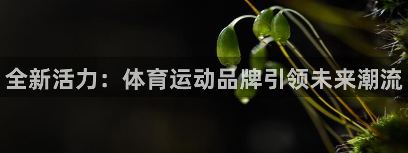 千亿游戏官网手机版：全新活力：体育运