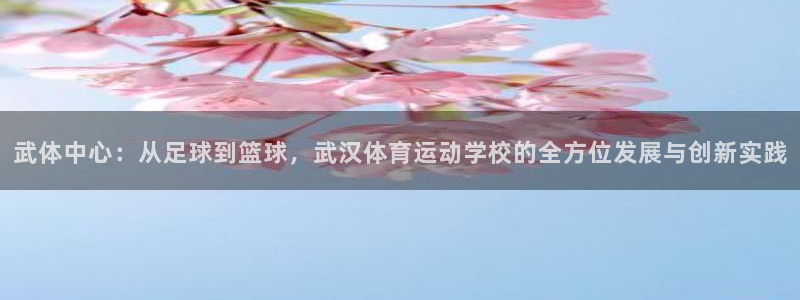  千亿公司有哪些：武体中心：从足球到篮球，武汉体育运动学校的全