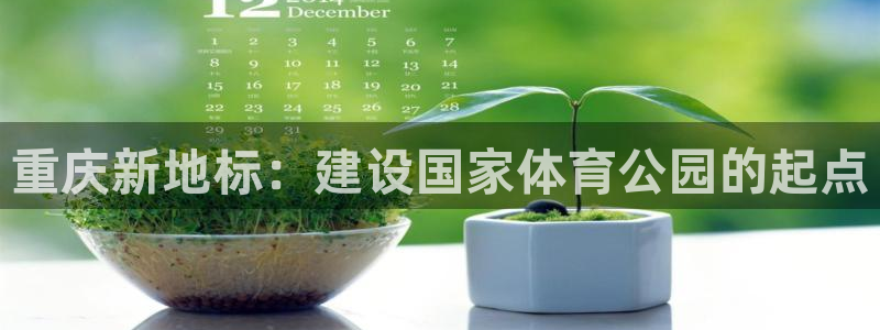 千亿集团最高总裁：重庆新地标：建设国