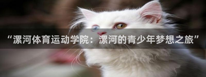 千亿游戏的另一面：“漯河体育运动学院