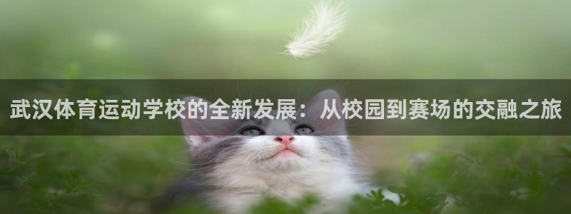 千亿集团是干什么的公司：武汉体育运动