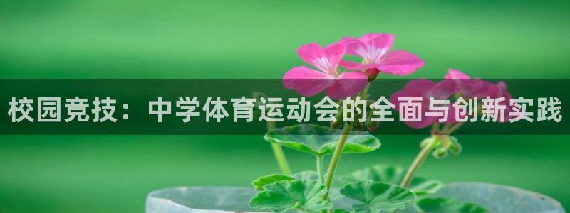 千亿官网娱乐下载安卓：校园竞技：中学