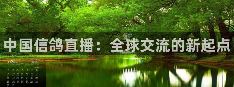 新球体育网球比分：中国信鸽直播：全球交流的新起点
