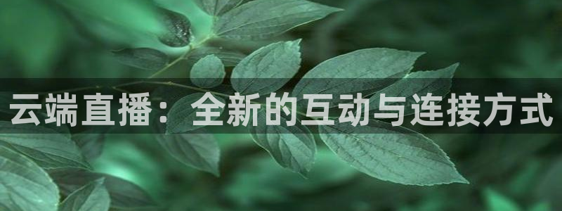 新球体育app：云端直播：全新的互动与连接方式
