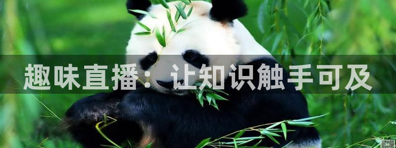 新球体育比分网