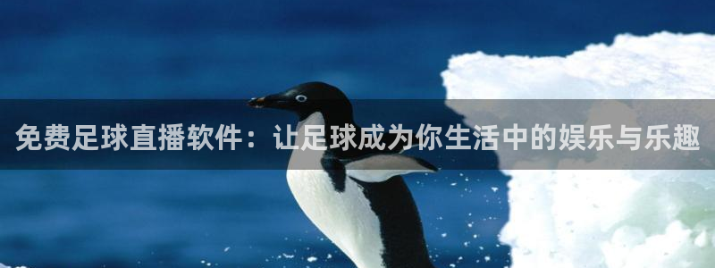 新球体育比分：免费足球直播软件：让足球成为你生活中的娱乐与乐趣