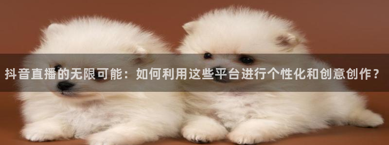 新球体育篮球比分：抖音直播的无限可能：如何利用这些平台进行个性化和创意创作？