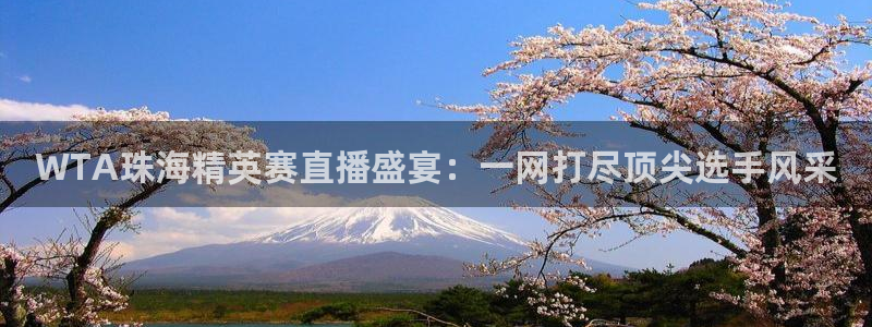 新球体育足球比分