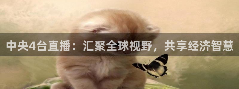 新球网直播：中央4台直播：汇聚全球视野，共享经济智慧